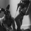 Rapporto tra Mistress e Sottomessi